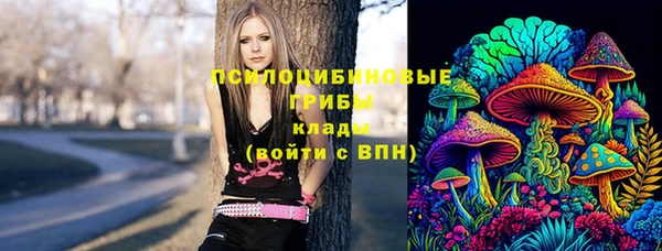 ГАЛЛЮЦИНОГЕННЫЕ ГРИБЫ Ижевск