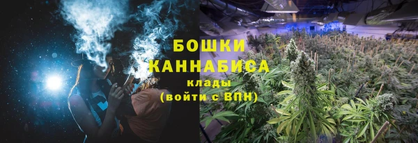 ГАЛЛЮЦИНОГЕННЫЕ ГРИБЫ Ижевск