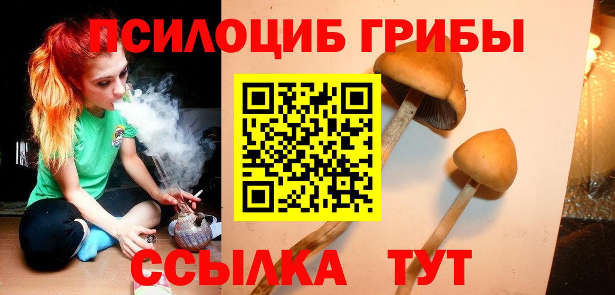 Кузнецк  Галлюциногенные грибы Psilocybine cubensis  Вход с VPN 